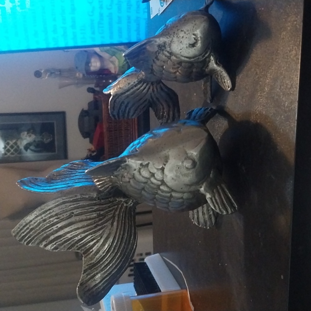 Small and large koi fish - Picture 3 of 8